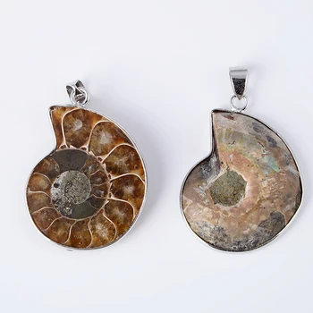 Naujas Mados 1Pc Gamtos Ammonite Seashell Fosilijos Sraigė Pakabučiai Vandenyno Myli Reliquiae Pakabukas Moterims, Vyrams Karoliai Dovana