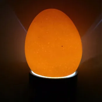 1 Vnt Inkubatorius Eggtester Kiaušinių kiaušinių tikrinimo šviesoje Lempa 9 LED Super Šalta, Inkubavimo Įranga, Vištienos Įrankis Nemokamas Pristatymas