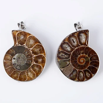 Naujas Mados 1Pc Gamtos Ammonite Seashell Fosilijos Sraigė Pakabučiai Vandenyno Myli Reliquiae Pakabukas Moterims, Vyrams Karoliai Dovana