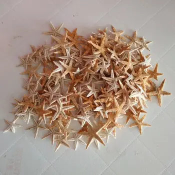 50 vnt./pak 1 paketas 2-3cm žvaigždė shell beach gamtos žvaigždė vestuvių dekoravimas amatų, gali būti naudojamas kaip namų baldai