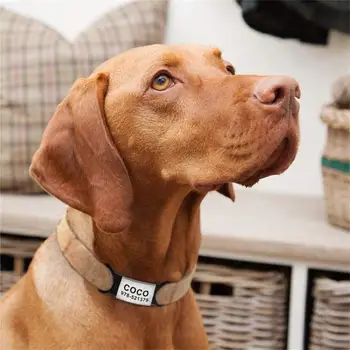Asmeninį Šuo ID Tegus Nerūdijančio Plieno Lentele Apykaklės Priedai Pakabukas Individualų Silikono Pet Žymas, Šuo, Katė Apvadai