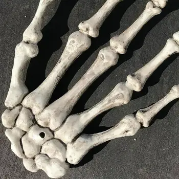1 vnt Kaukolės Skeletas Rankos Kaulų Helovinas Gruodis ,Žmogaus Anatomijos kaulų Skeleto Modelis Medicinos Mokytis Medicinos Pagalbos Anatomija meno eskizas
