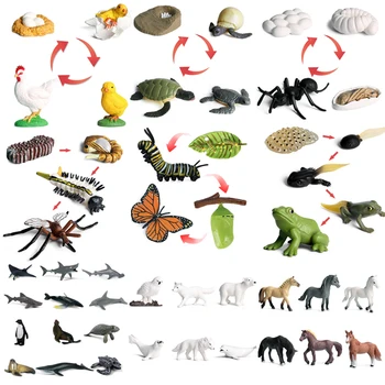 2020 Modeliavimas Vabzdžių, Gyvūnų Modelio Duomenys Mini Drugelis Varlės, Uodai Vandenyno Banginių Gyvūnų naminių Paukščių PVC Duomenys Dolsl Žaislai Dovana