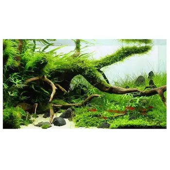 1pcs Gamtos Kamieno Driftwood Medžio Akvariumo Žuvų Bakas Augalų Mediniai Filialas Apdailos Ornamentu Landscap Gėlių Žolės Dekoro Karšto