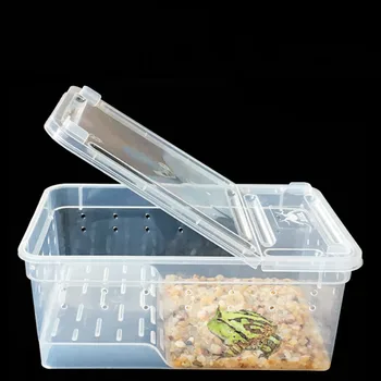 Terariumai, reptilijoms Skaidraus Plastiko Dėžutė Vabzdžių, Roplių Transporto Veisimo Gyventi Maistu Šerti Box turtle bakas roplių lempos