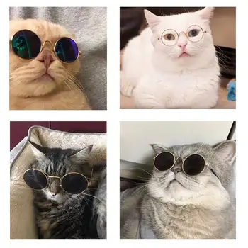1Pcs naminių reikmenys katė akinius augintinio nuotraukas šuo akinius pet apsirengti, šuo, katė puošniai apsirengti suknelę pet akiniai