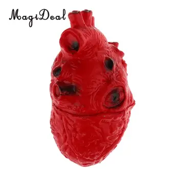 Tikroviška Žmogaus Širdies Modelis-Chop Shop Kūno Dalis Organų Helovinas Siaubo Prop Dekoracijas Mokyklos Lab Prekių Studentų Žaislas 16cm