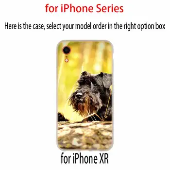 Miniatiūrinės veislės kalytę šuo meno Atveju Silikono soft iPhone 12 11 Pro X XS Max XR 8 7 6 Plius 5s SE 2020 M S 6.1 Dangtis