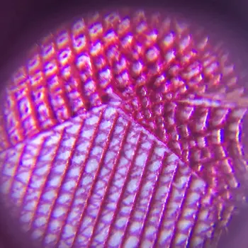Nešiojamų 60X Mikroskopas su LED Lempos, Šviesa, didinamasis stiklas Didinamojo Stiklo Violetinė Suklastotų Šviesos Lašas Laivybos PARDAVIMAS