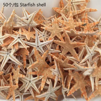 50 vnt./pak 1 paketas 2-3cm žvaigždė shell beach gamtos žvaigždė vestuvių dekoravimas amatų, gali būti naudojamas kaip namų baldai