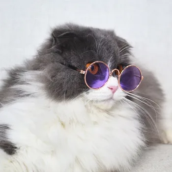 1Pcs naminių reikmenys katė akinius augintinio nuotraukas šuo akinius pet apsirengti, šuo, katė puošniai apsirengti suknelę pet akiniai