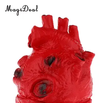 Tikroviška Žmogaus Širdies Modelis-Chop Shop Kūno Dalis Organų Helovinas Siaubo Prop Dekoracijas Mokyklos Lab Prekių Studentų Žaislas 16cm