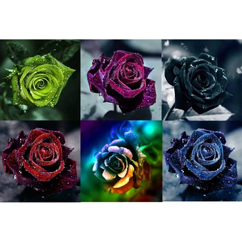 Visą Deimantų Siuvinėjimo spalva Rose Flower 