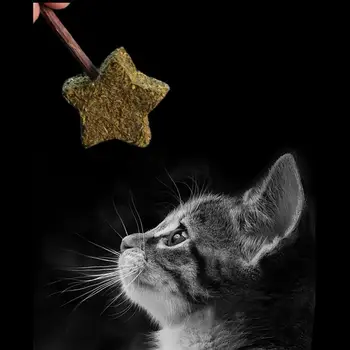 Katžolių, Kačių Žaislas Augintiniui Kačiukas Kramtyti žaislas herbe pokalbių Mielas Saldainis Silvervine Kamuolys Katžolių Gydyti Kamuolys Katę Kramtyti Žaislas Katė Prekes