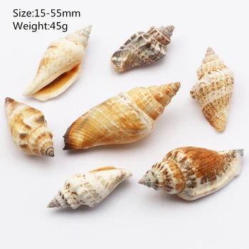 10vnt Gamtos Sea Shell Myli Akvariumas Kraštovaizdžio Puošmena Šalies Namų Dekoravimo, Juvelyrikos Pakabukas Priedai 