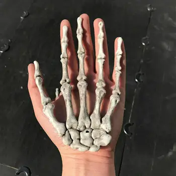 1 vnt Kaukolės Skeletas Rankos Kaulų Helovinas Gruodis ,Žmogaus Anatomijos kaulų Skeleto Modelis Medicinos Mokytis Medicinos Pagalbos Anatomija meno eskizas